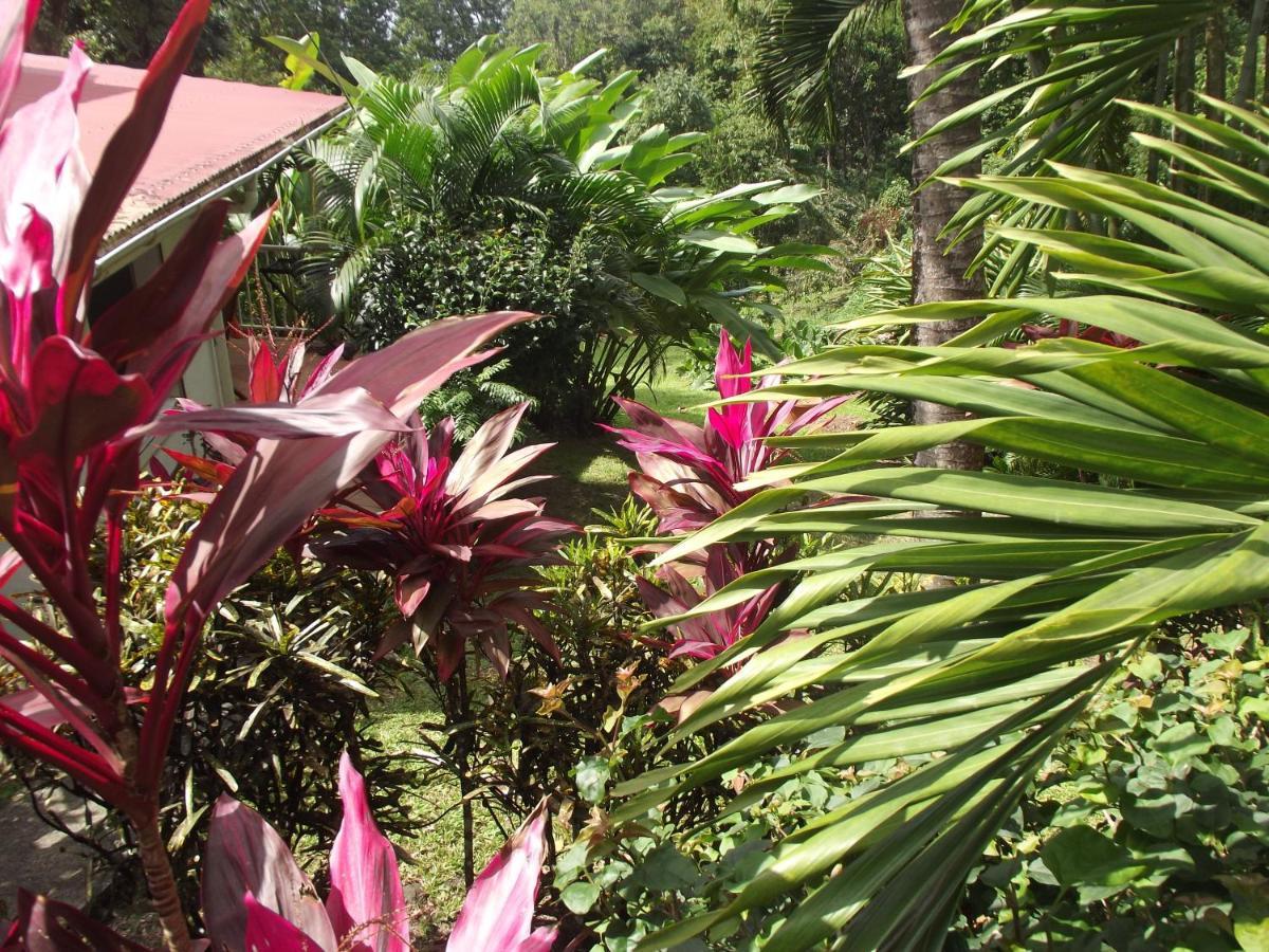 부이영뜨 Les Jardins De L'Esperance 빌라 외부 사진